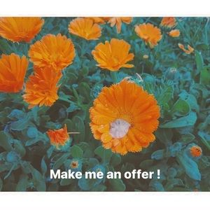 ! CLOSET CLEAN OUT 🔸🌸🤩